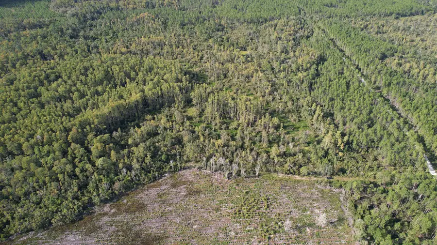 0 Airport Grade Road, Perry, FL 32348 - #2