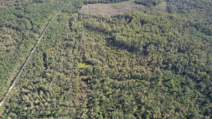 0 Airport Grade Road, Perry, FL 32348 - #3