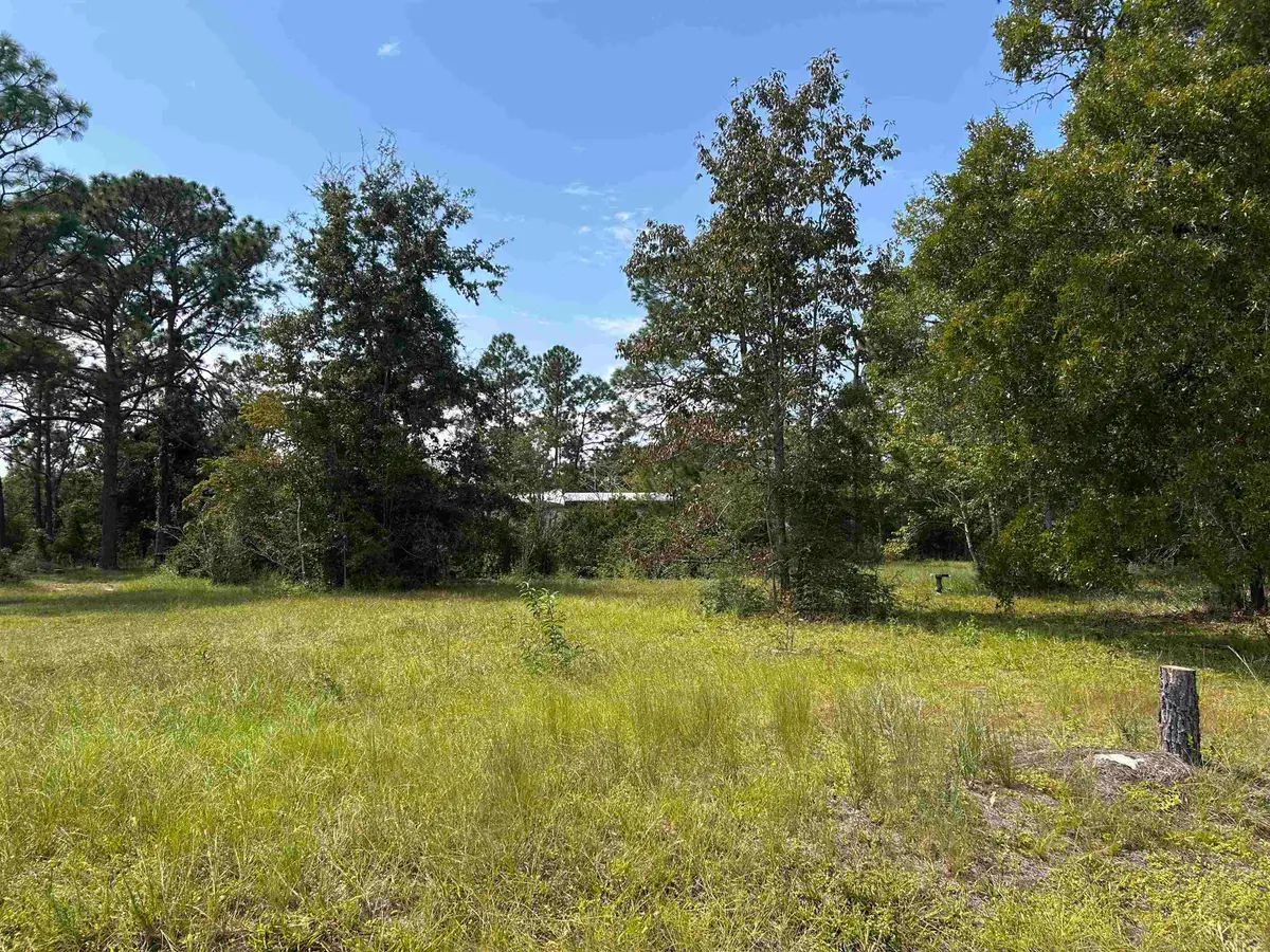 x Griffin Road, Crawfordville, FL 32327 - #1