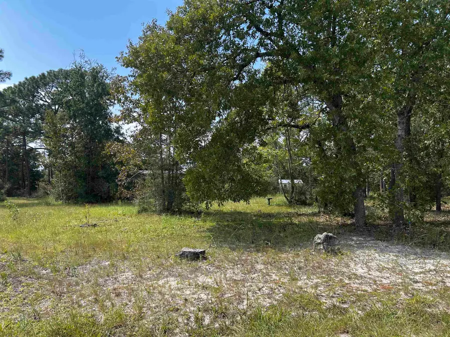 x Griffin Road, Crawfordville, FL 32327 - #2