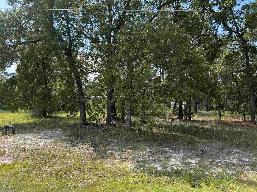 x Griffin Road, Crawfordville, FL 32327 - #3