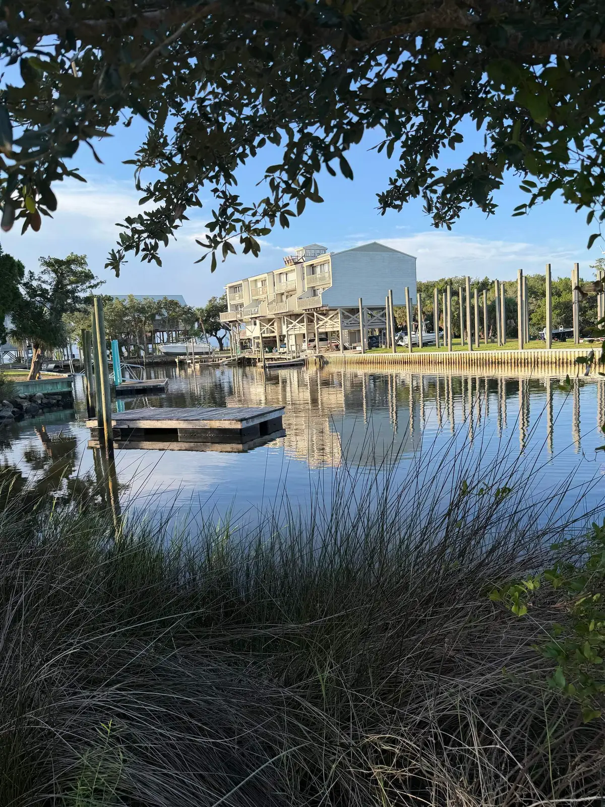 xxx Dolphin Drive, Crawfordville, FL 32327 - #1