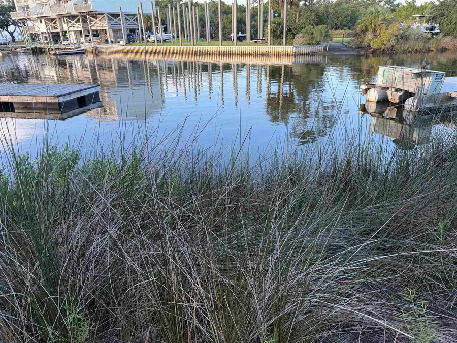 xxx Dolphin Drive, Crawfordville, FL 32327 - #2