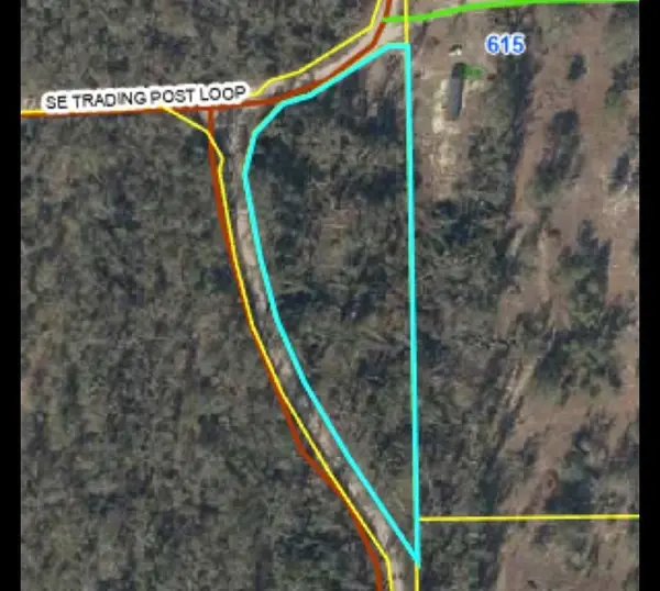 Se Springhead Creek Loop, Lee, FL 32059