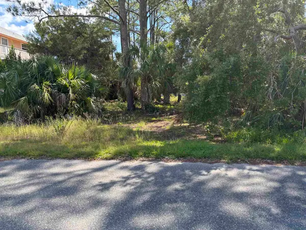 33 Blue Heron Way, Panacea, FL 32346