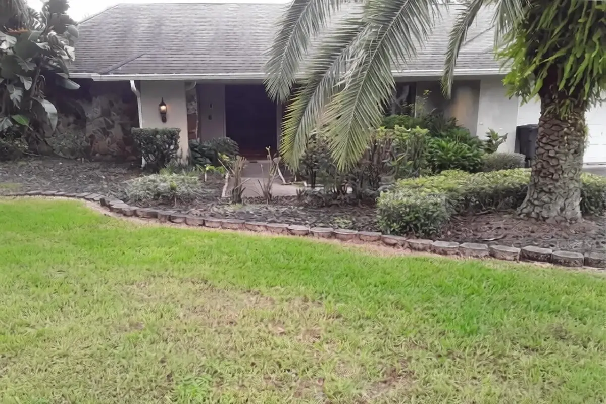 3801 Lake Padgett Drive, Land O Lakes, FL 34639 - #1
