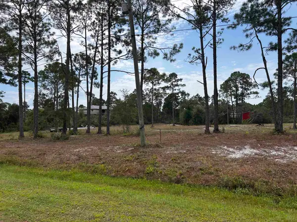 132 Timber Island Road, Carrabelle, FL 32322