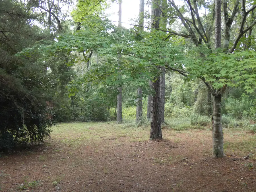 TBD Spring Hollow Drive, Monticello, FL 32344 - #2