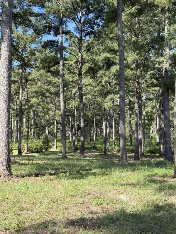 Lot 11A Lake Pisgah Drive, Tallahassee, FL 32309