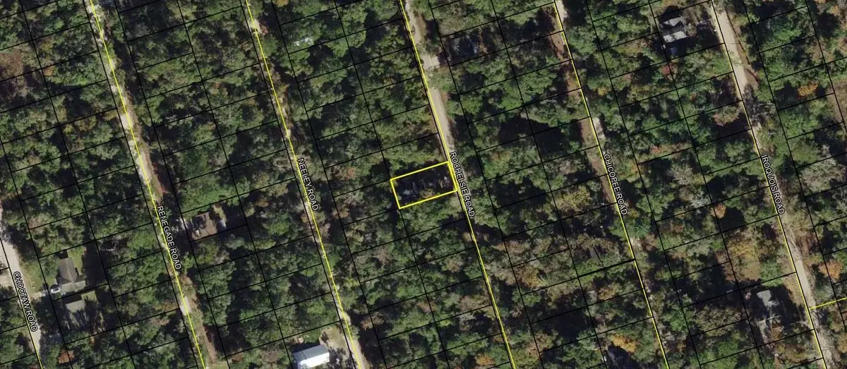 Lot 59 Rochelsie Road, Crawfordville, FL 32327 - #1