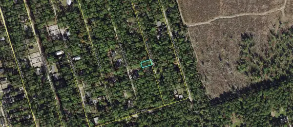 Lot 60 Chicopee Road, Crawfordville, FL 32327