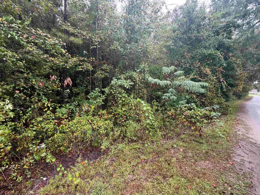 0 Reaves Drive, Midway, FL 32343 - #2