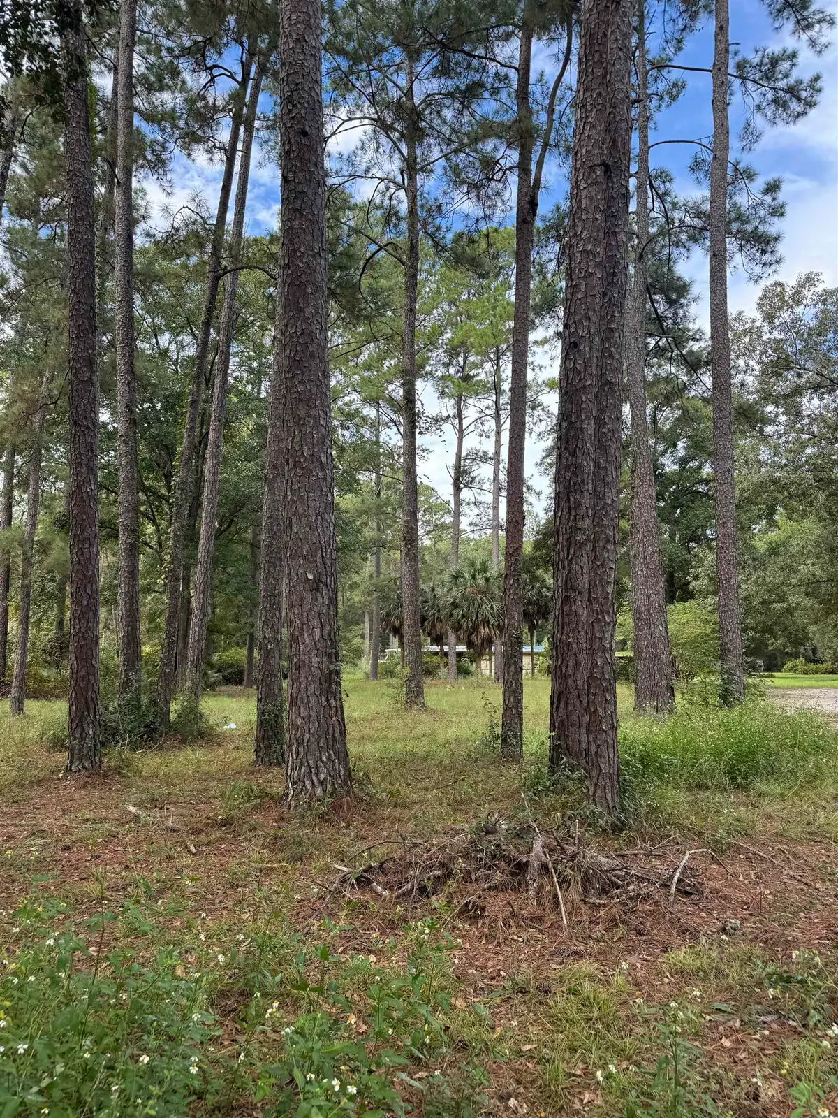 8636 Wakulla Springs Road, Tallahassee, FL 32305 - #1