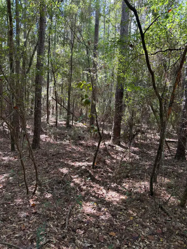 XXX Sipsey Way, Tallahassee, FL 32305