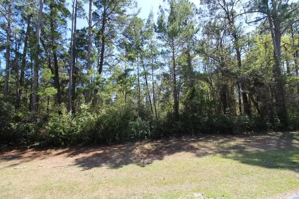 260 Boncycle Drive, East Point, FL 32328