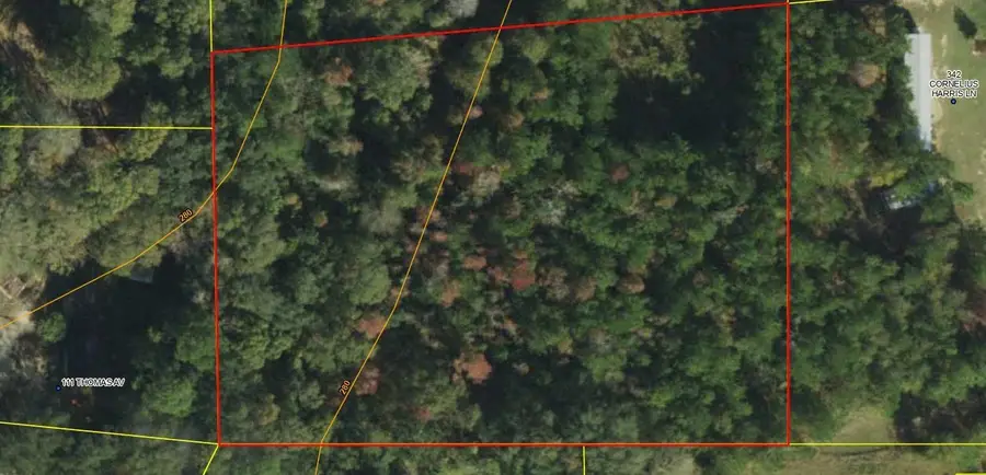 xx Blue Star Highway, Quincy, FL 32351 - #2