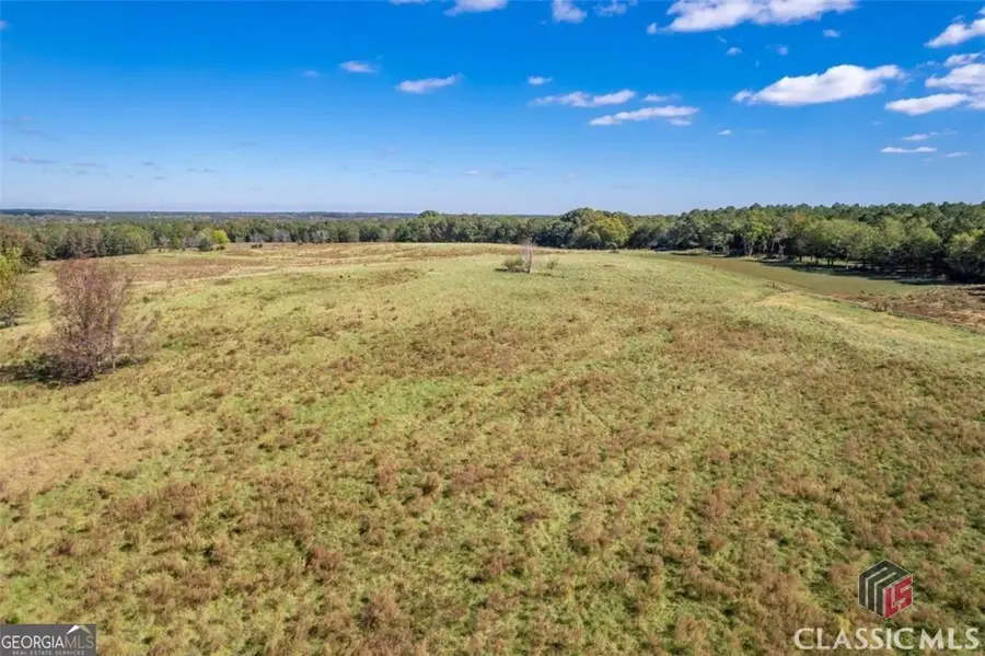 Lot 8 Wallace Road, Madison, GA 30650 - Image #2