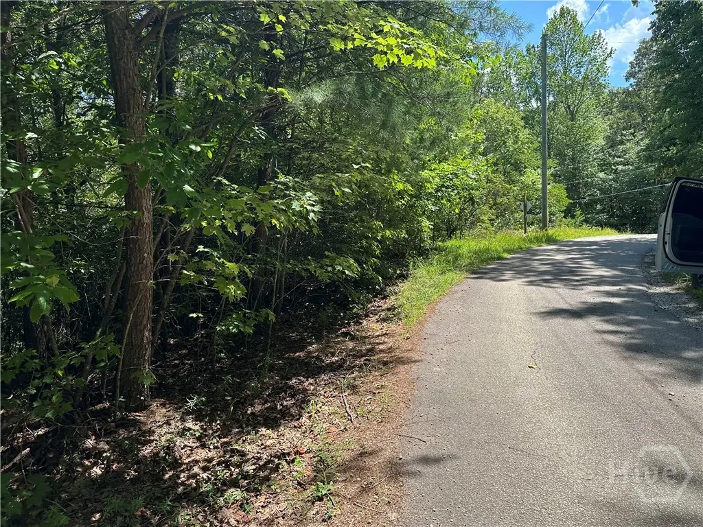 664 Gold Valley Road, Sautee Nacoochee, GA 30571 - #1