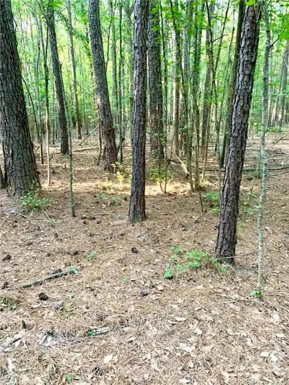 #2