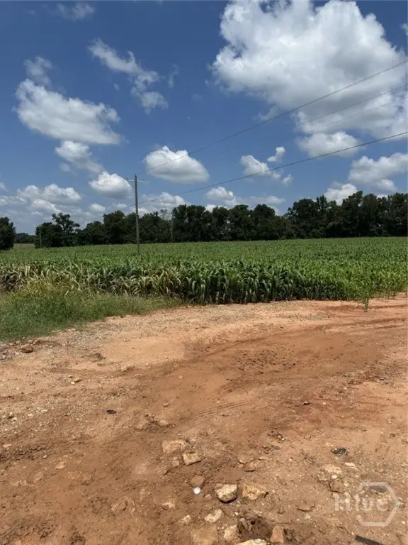1981 A. Broughton Road, Newborn, GA 30056