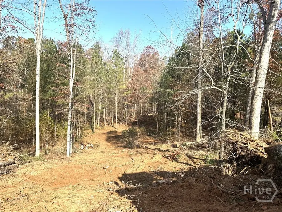 1698 Shoal Creek Way, Bishop, GA 30621 - Image #3