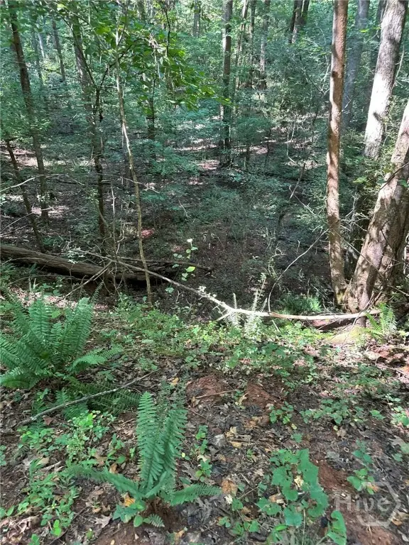 00 Fears, Madison, GA 30650 - Image #3