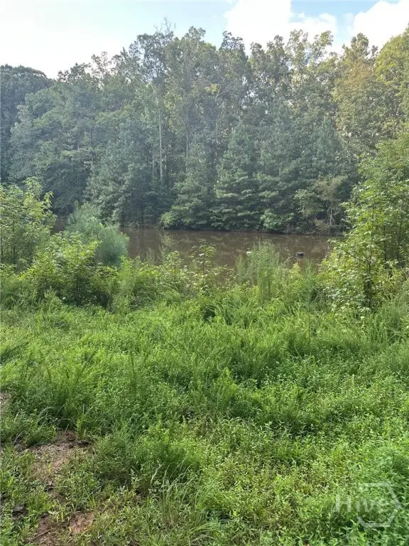 0 Fears Road, Madison, GA 30650 - Image #3