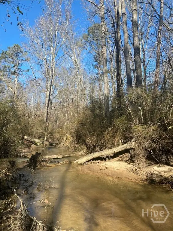 0 Kent Rock Road, Loganville, GA 30052 - Image #3