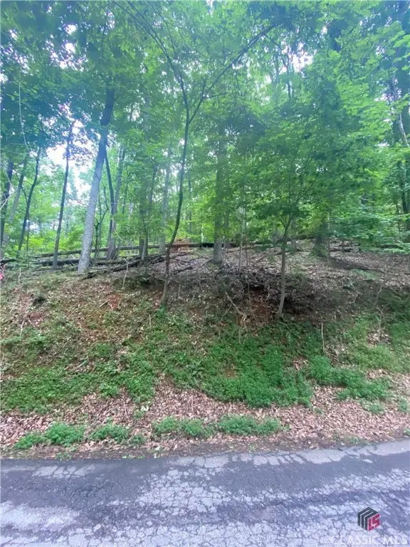 0 Skyview Drive, Ellijay, GA 30536 - Image #2