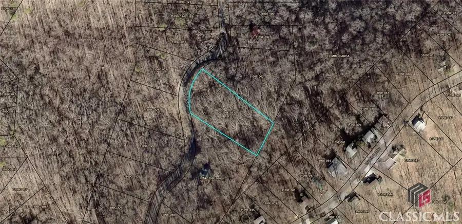 0 Skyview Drive, Ellijay, GA 30536 - Image #3