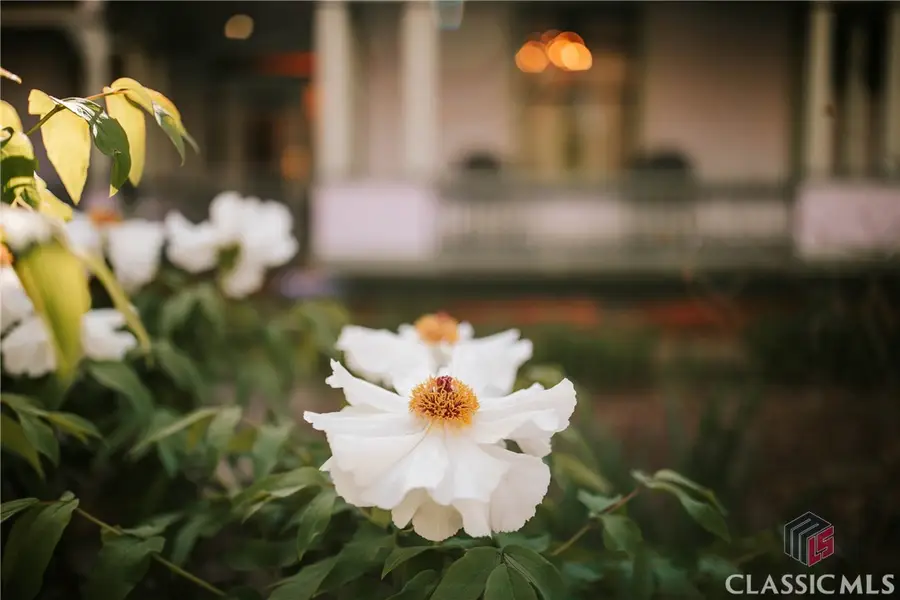 229 N Woodlawn Drive, Crawford, GA 30630 - Image #3