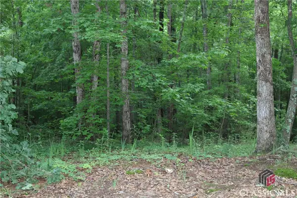 00 Kingston Road, Colbert, GA 30628