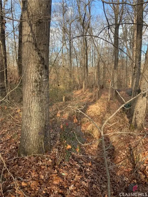 0 S Tanglewood Drive, Royston, GA 30662