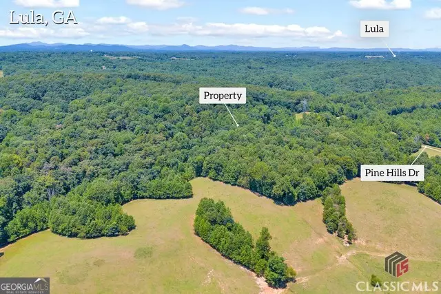 0 Pinehill Court, Lula, GA 30554 - Image #1