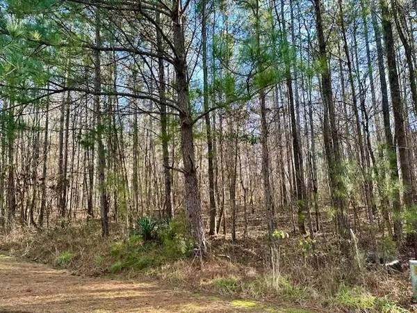 Lot 12 Oak Ridge Drive, WAVERLY HALL, GA 31831