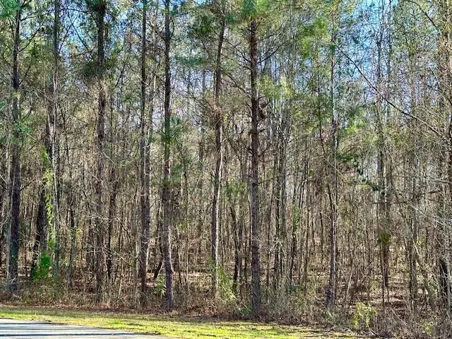 Lot 14 Oak Ridge Drive, Waverly Hall, GA 31831 - Image #1