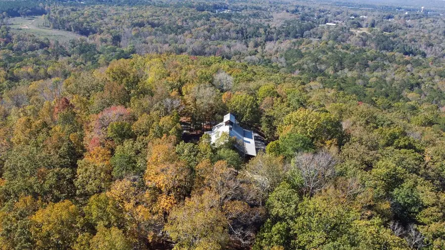 739 Barnes Mill Road, Hamilton, GA 31811 - Image #2