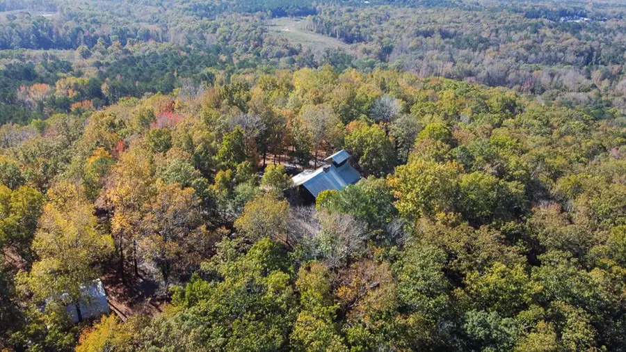 739 Barnes Mill Road, Hamilton, GA 31811 - Image #3