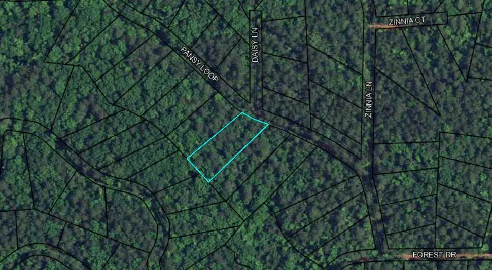 BLK 79 LOT 07 Pansy Loop, Waverly Hall, GA 31831 - #1