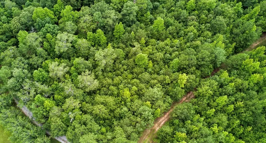 0 Butts Mill Road, Pine Mountain, GA 31822 - Image #2