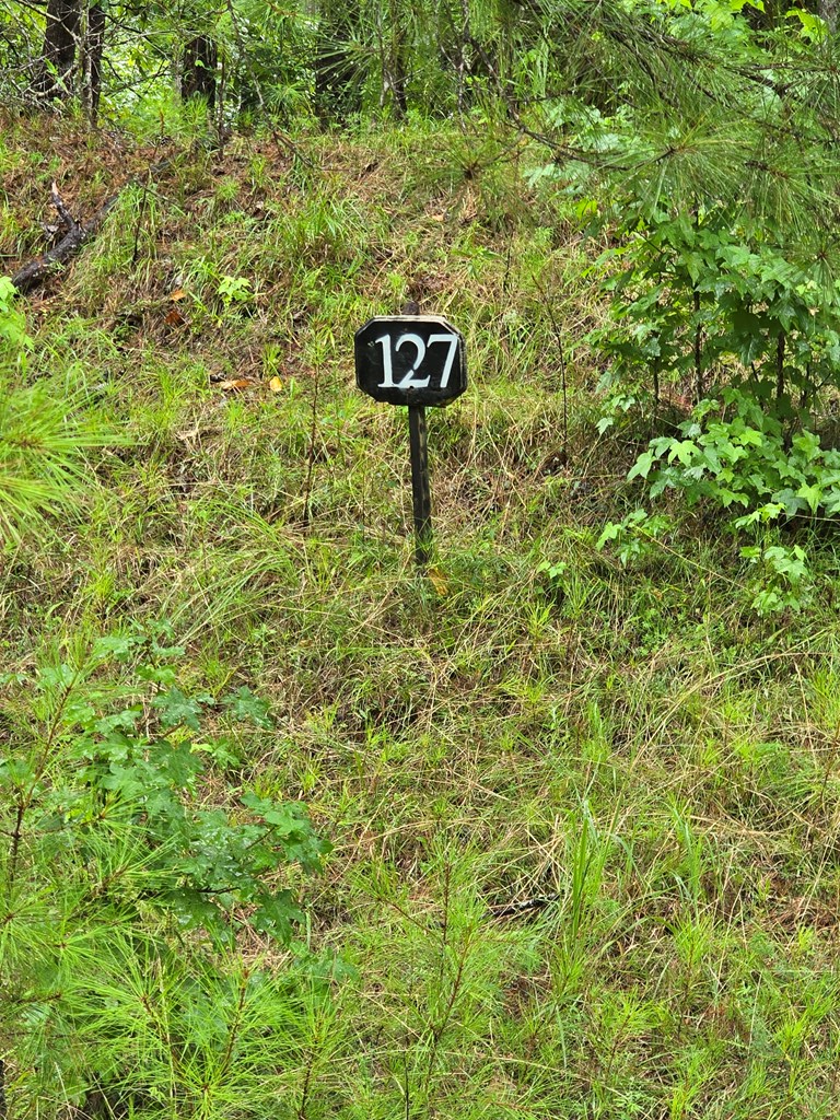 #2