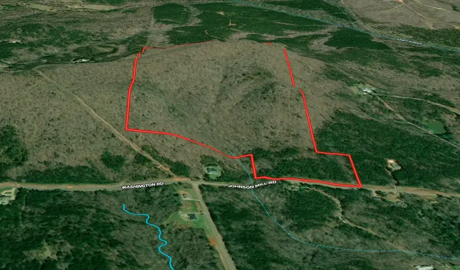 127.96 ac Johnson Mill Road, Hamilton, GA 31811 - Image #2