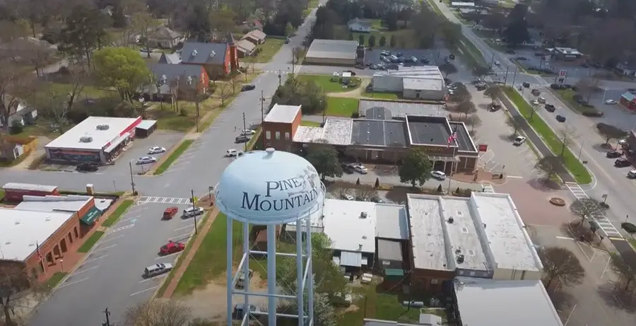 136 Chinaberry Street, Pine Mountain, GA 31822 - Image #3