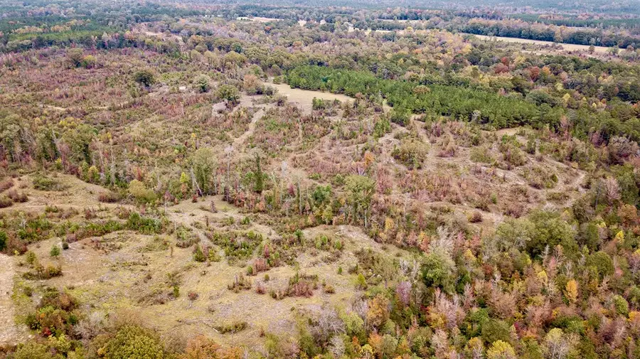 0 Battle Road, Hurtsboro, AL 36860 - #2