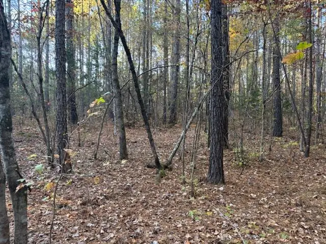 0 Brown Creek Road, Shiloh, GA 31826 - Image #1