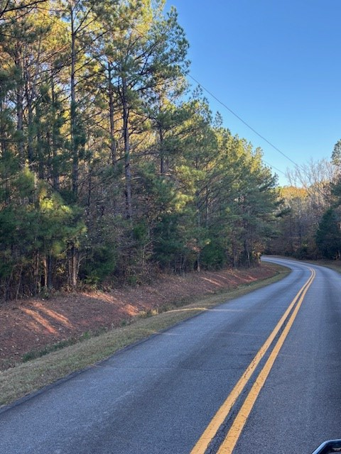 0 Brown Creek Road, Shiloh, GA 31826 - Image #2