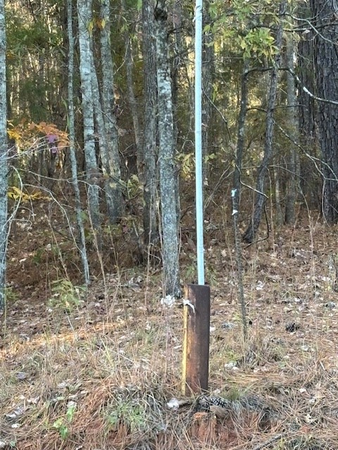 0 Brown Creek Road, Shiloh, GA 31826 - Image #3