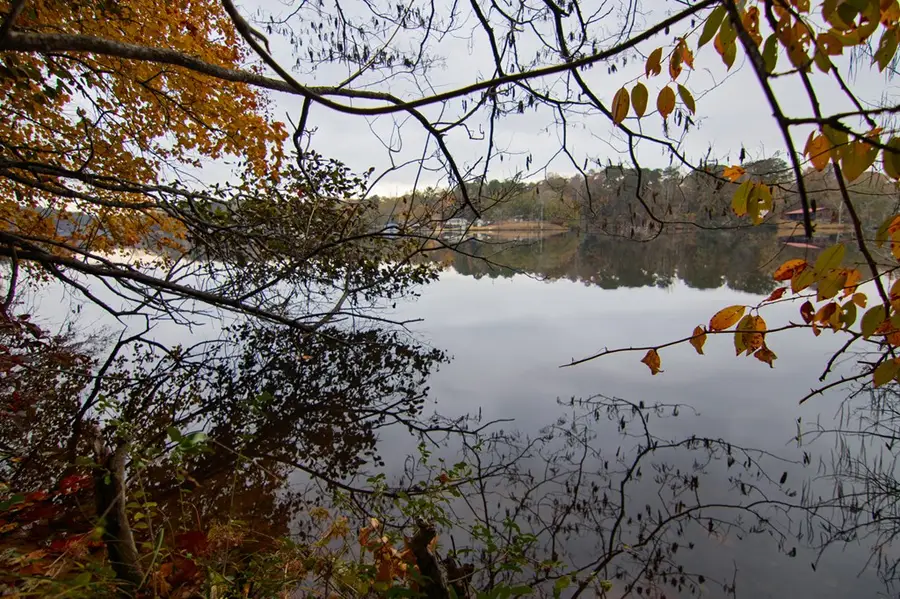 0 E Pine Lake Drive, West Point, GA 31833 - Image #2