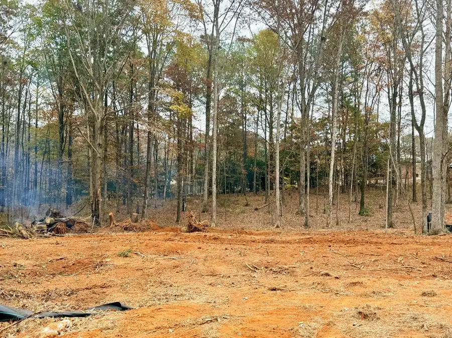 140 Rolling Meadows Way, Waverly Hall, GA 31831 - Image #3