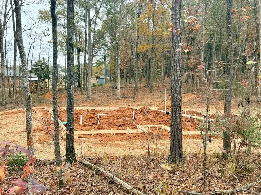 130 Rolling Meadows Way, Waverly Hall, GA 31831 - Image #3